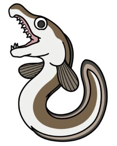 最初に「はも」を食べるようになったのはいつ？歴史と食文化からわかる起源